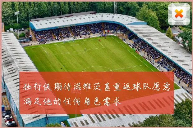 独行侠期待诺维茨基重返球队愿意满足他的任何角色需求