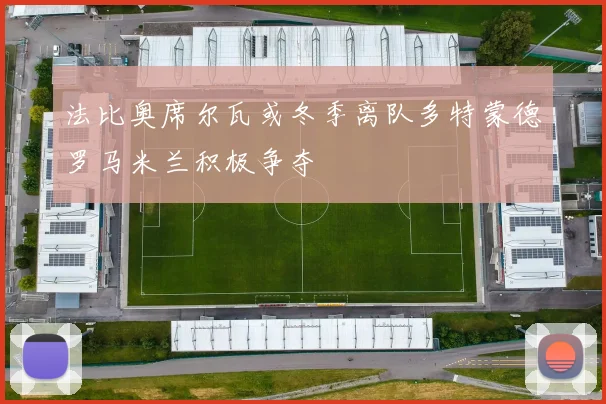 法比奥席尔瓦或冬季离队多特蒙德罗马米兰积极争夺