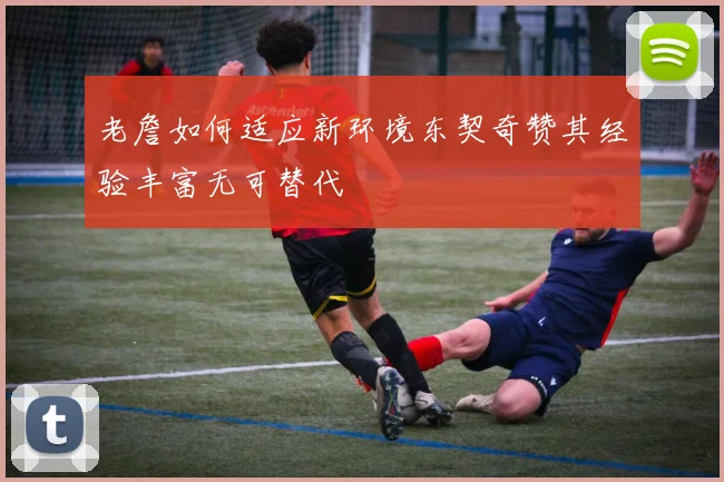 老詹如何适应新环境东契奇赞其经验丰富无可替代
