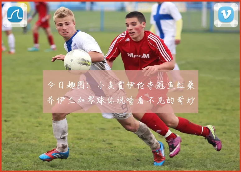 今日趣图：小麦霍伊伦夺冠鱼缸桑乔伊兰加零球你说啥看不见的奇妙瞬间